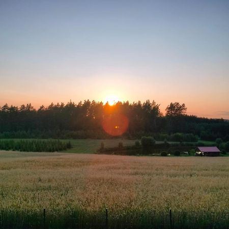 Agroturystyka U Kasi Suryty Kültér fotó