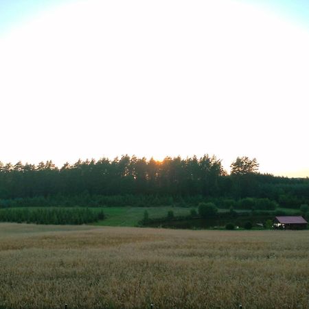 Agroturystyka U Kasi Suryty Kültér fotó